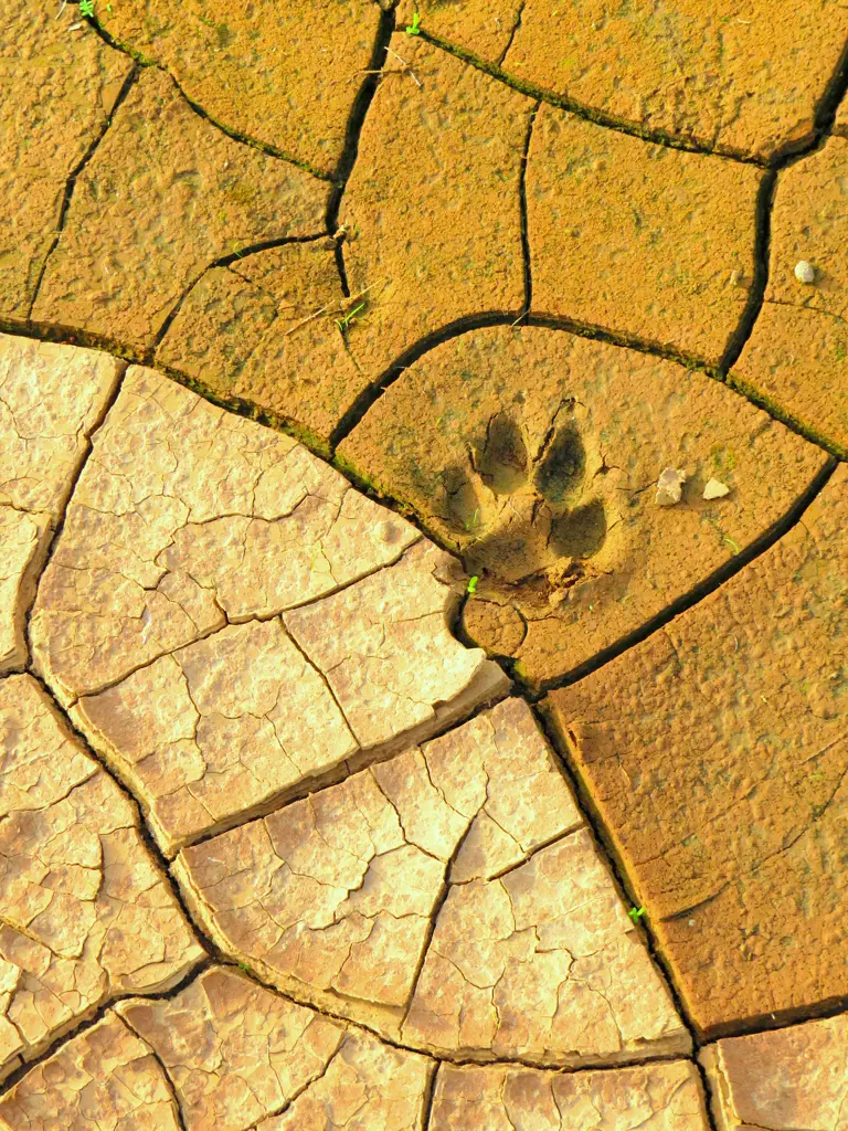Südafrika – Einblick ins Leben der Ranger